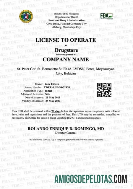Licença realista das Filipinas para operar modelo Word e PDF